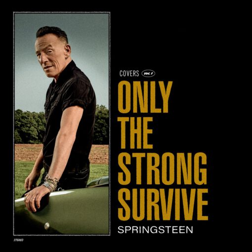 Only The Strong Survive – Covers Vol.1 (2022)